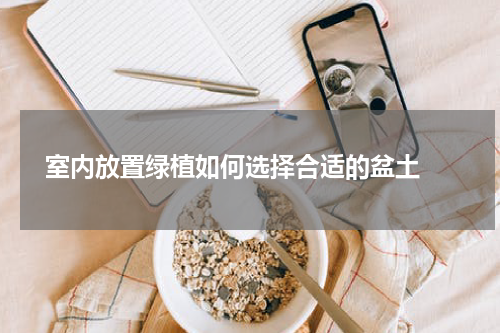  室内放置绿植如何选择合适的盆土 