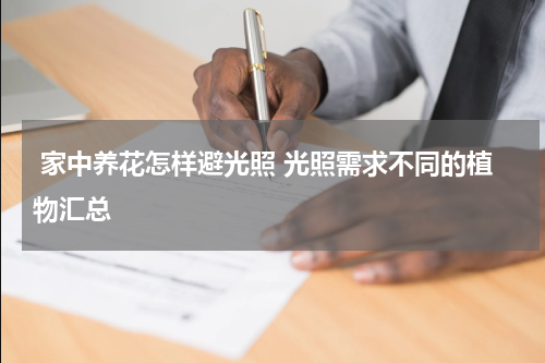  家中养花怎样避光照 光照需求不同的植物汇总