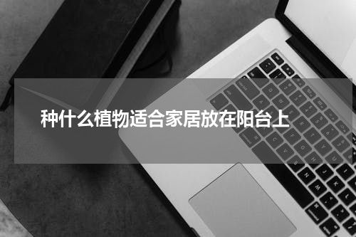  种什么植物适合家居放在阳台上 