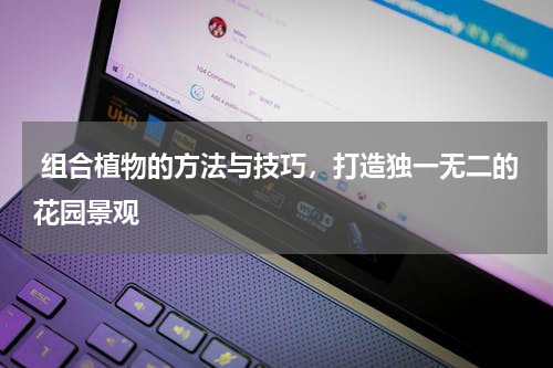  组合植物的方法与技巧，打造独一无二的花园景观 