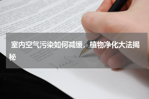  室内空气污染如何减缓，植物净化大法揭秘