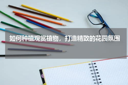  如何种植观赏植物，打造精致的花园氛围 