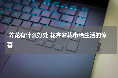  养花有什么好处 花卉盆栽带给生活的惊喜