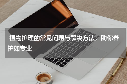  植物护理的常见问题与解决方法，助你养护如专业 