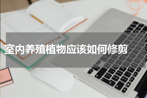  室内养殖植物应该如何修剪 