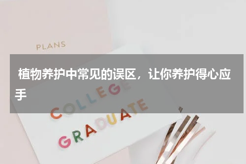  植物养护中常见的误区，让你养护得心应手