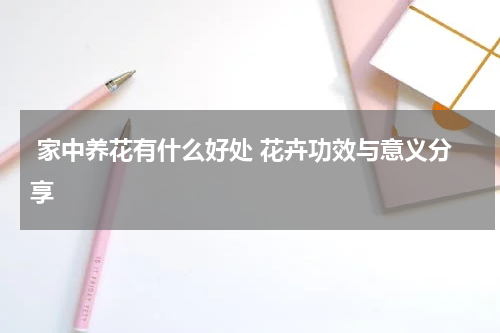  家中养花有什么好处 花卉功效与意义分享