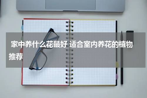  家中养什么花最好 适合室内养花的植物推荐