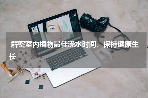  解密室内植物最佳浇水时间，保持健康生长
