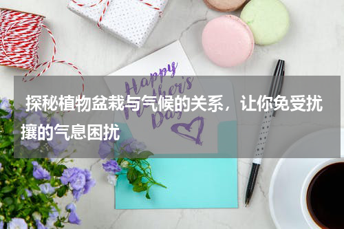  探秘植物盆栽与气候的关系，让你免受扰攘的气息困扰 
