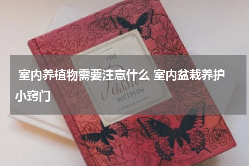  室内养植物需要注意什么 室内盆栽养护小窍门