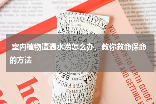  室内植物遭遇水涝怎么办，教你救命保命的方法