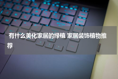  有什么美化家居的绿植 家居装饰植物推荐