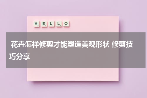  花卉怎样修剪才能塑造美观形状 修剪技巧分享