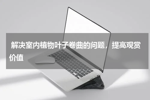  解决室内植物叶子卷曲的问题，提高观赏价值