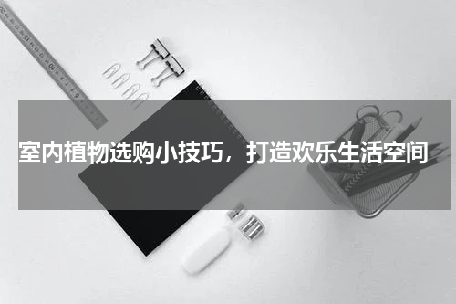  室内植物选购小技巧，打造欢乐生活空间