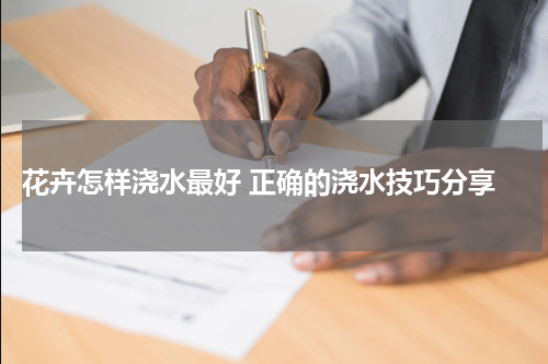  花卉怎样浇水最好 正确的浇水技巧分享