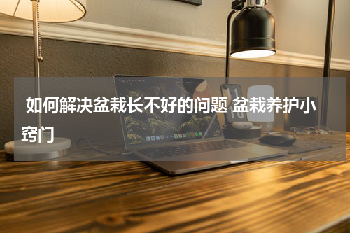  如何解决盆栽长不好的问题 盆栽养护小窍门