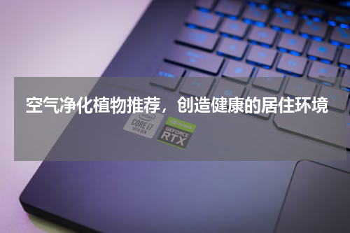  空气净化植物推荐，创造健康的居住环境 