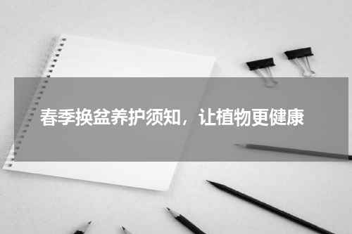  春季换盆养护须知，让植物更健康
