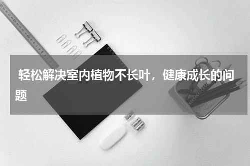  轻松解决室内植物不长叶，健康成长的问题