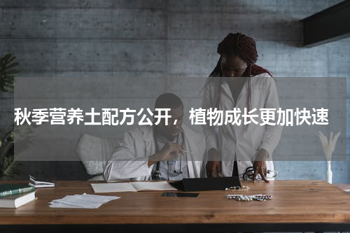  秋季营养土配方公开，植物成长更加快速