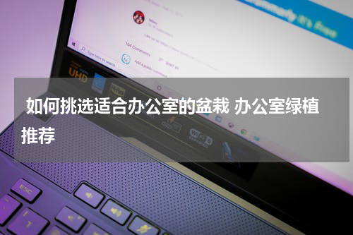  如何挑选适合办公室的盆栽 办公室绿植推荐