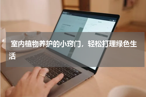  室内植物养护的小窍门，轻松打理绿色生活