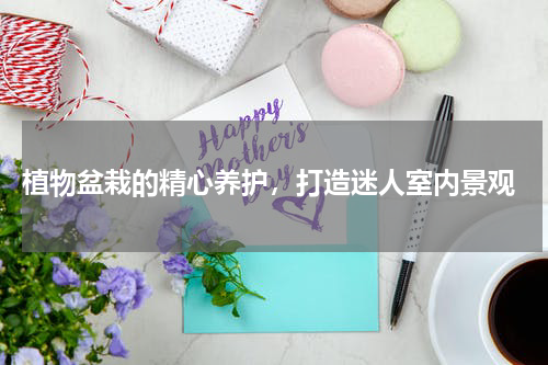  植物盆栽的精心养护，打造迷人室内景观