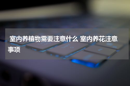  室内养植物需要注意什么 室内养花注意事项