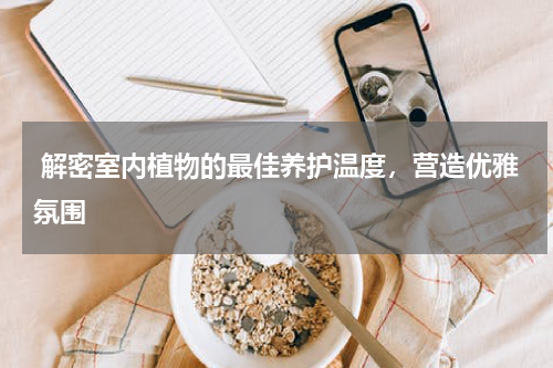  解密室内植物的最佳养护温度，营造优雅氛围