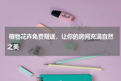  植物花卉免费赠送，让你的房间充满自然之美 
