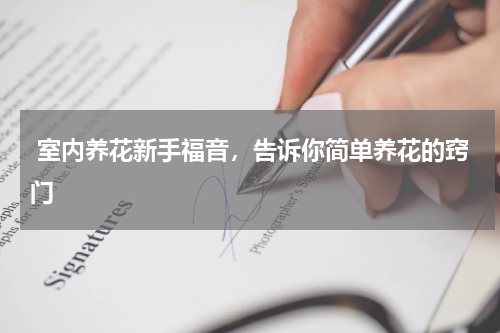  室内养花新手福音，告诉你简单养花的窍门