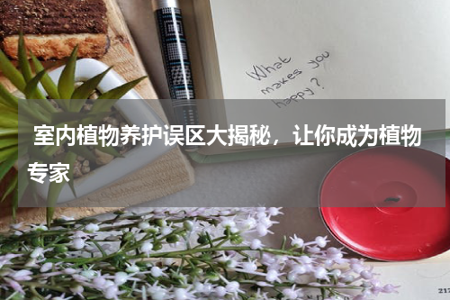  室内植物养护误区大揭秘，让你成为植物专家 