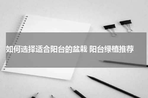  如何选择适合阳台的盆栽 阳台绿植推荐