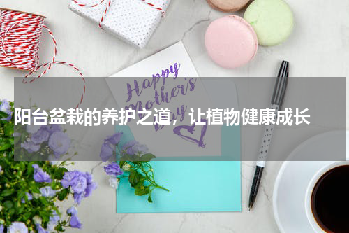  阳台盆栽的养护之道，让植物健康成长 