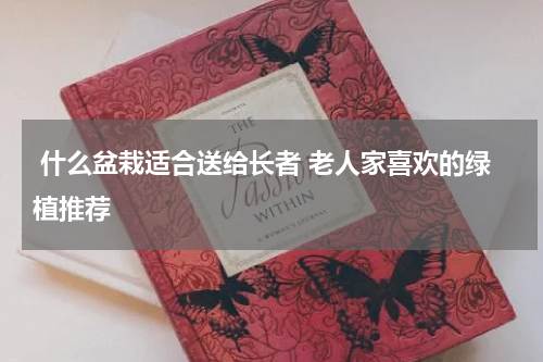  什么盆栽适合送给长者 老人家喜欢的绿植推荐