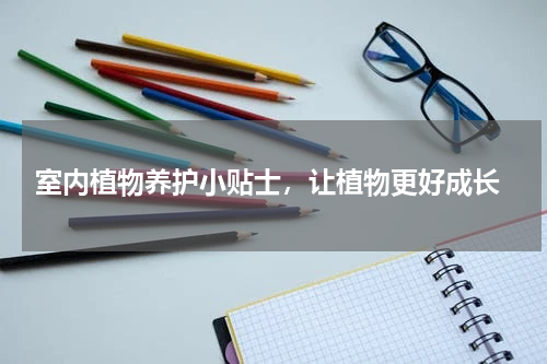  室内植物养护小贴士，让植物更好成长