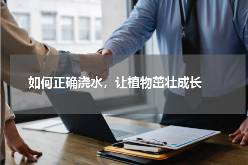  如何正确浇水，让植物茁壮成长 