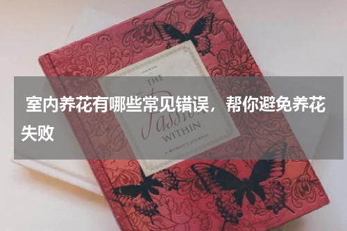  室内养花有哪些常见错误，帮你避免养花失败