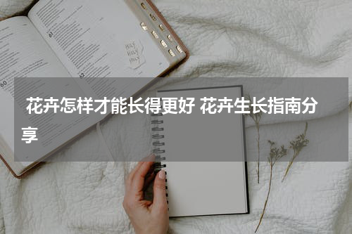  花卉怎样才能长得更好 花卉生长指南分享