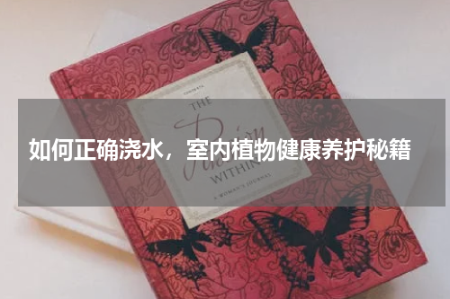  如何正确浇水，室内植物健康养护秘籍