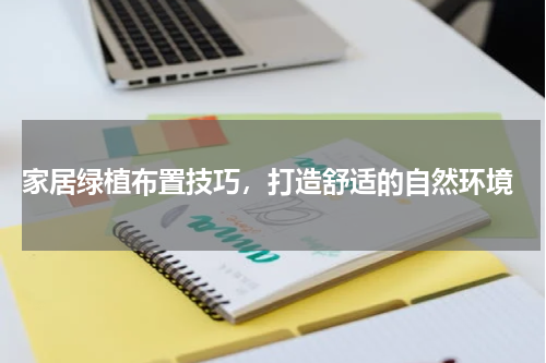  家居绿植布置技巧，打造舒适的自然环境
