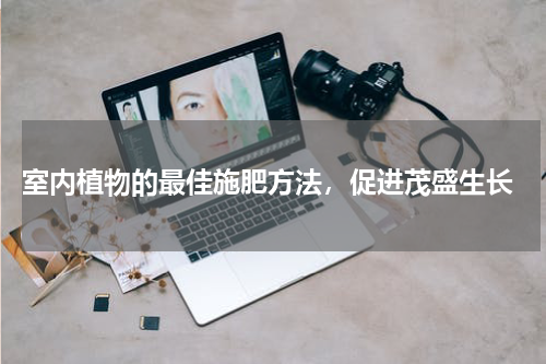  室内植物的最佳施肥方法，促进茂盛生长