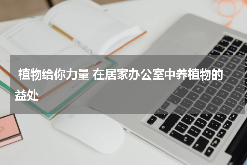  植物给你力量 在居家办公室中养植物的益处