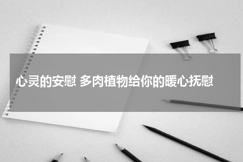  心灵的安慰 多肉植物给你的暖心抚慰