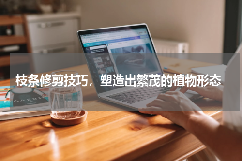 枝条修剪技巧，塑造出繁茂的植物形态