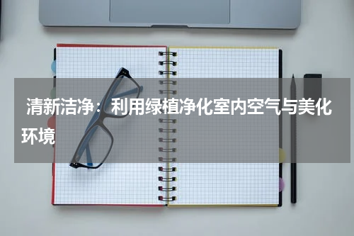  清新洁净：利用绿植净化室内空气与美化环境