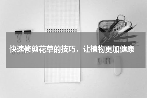  快速修剪花草的技巧，让植物更加健康