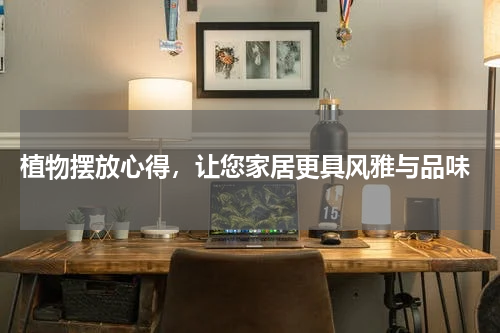  植物摆放心得，让您家居更具风雅与品味
